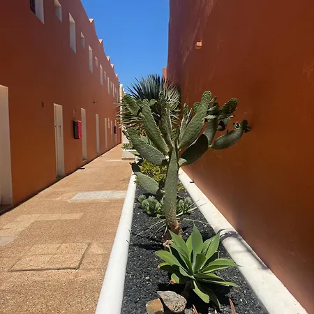 Casa Bougainville 아파트 *